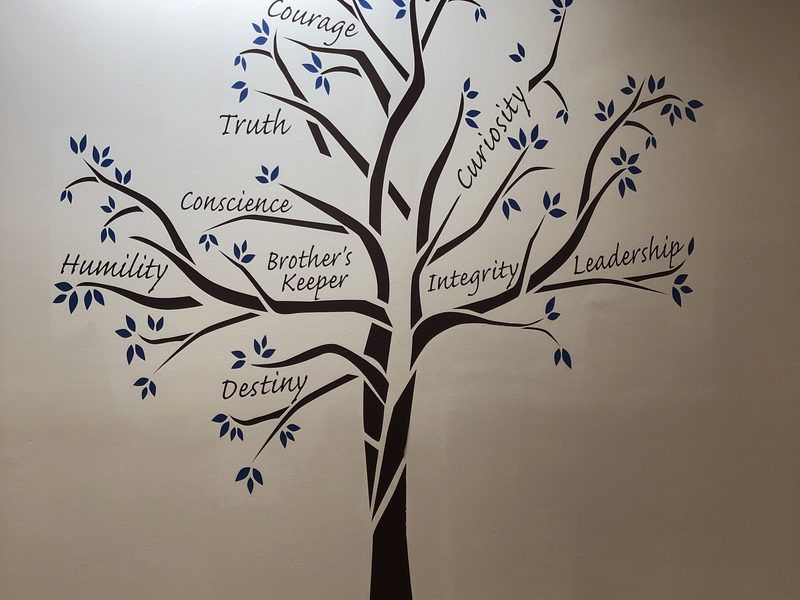 5 Principles – The “We” Words