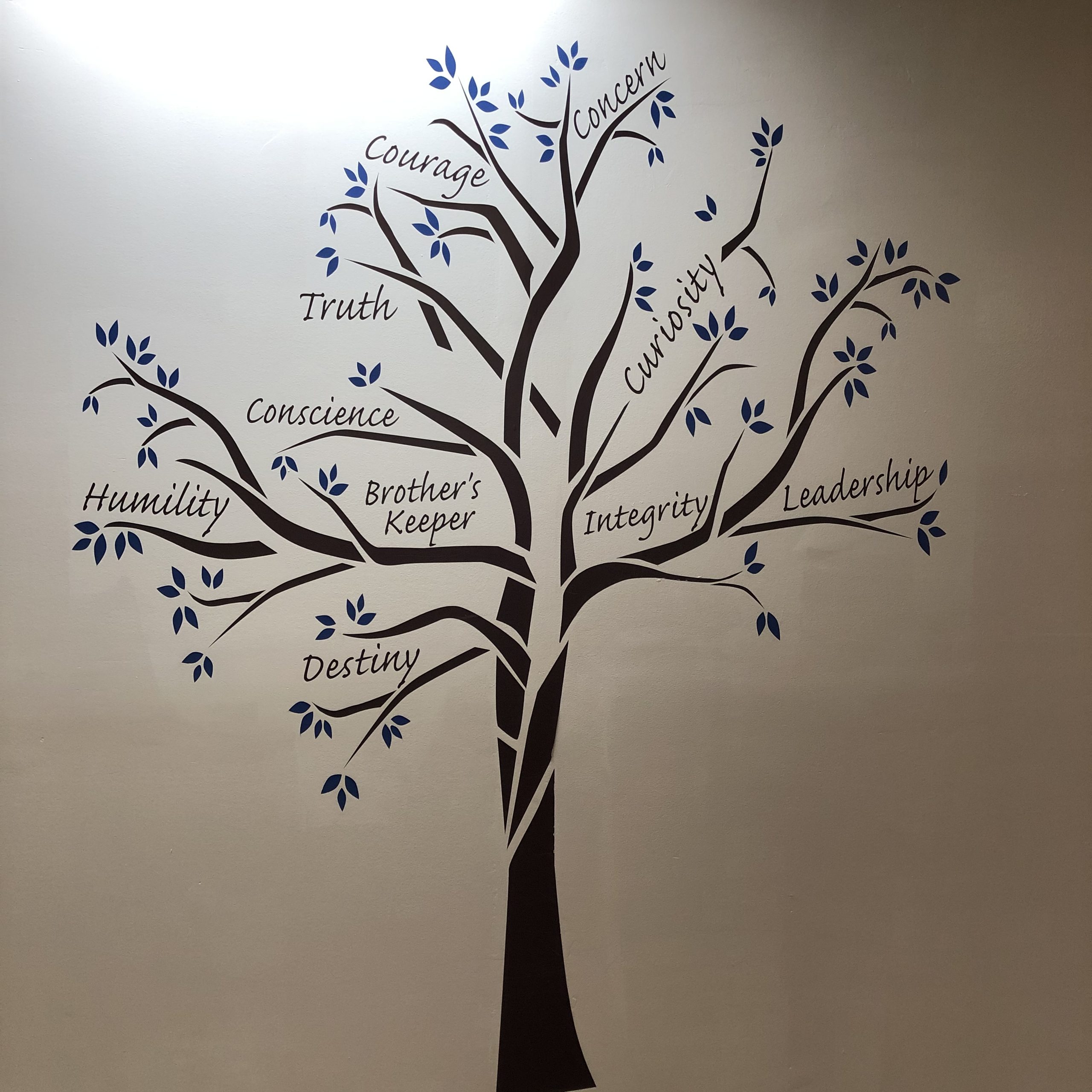 5 Principles – The “We” Words
